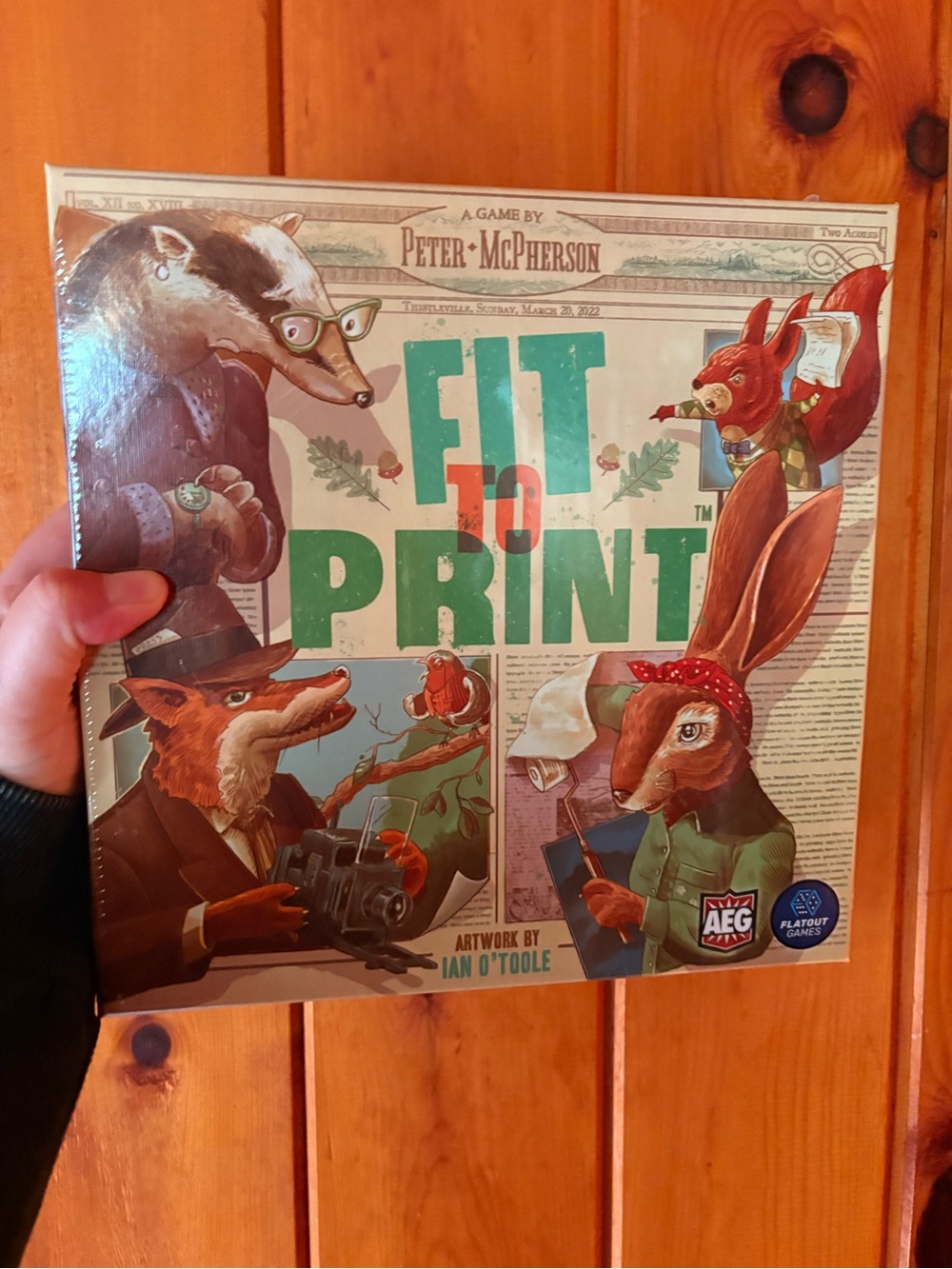 Fit to Print Board Game - new